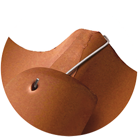 BICOPPO®